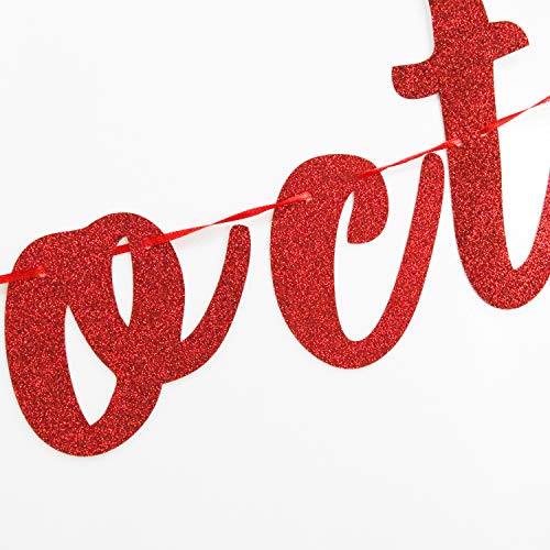 Future Doctor Banner - Red Glitter Graduation Party Decor 2026