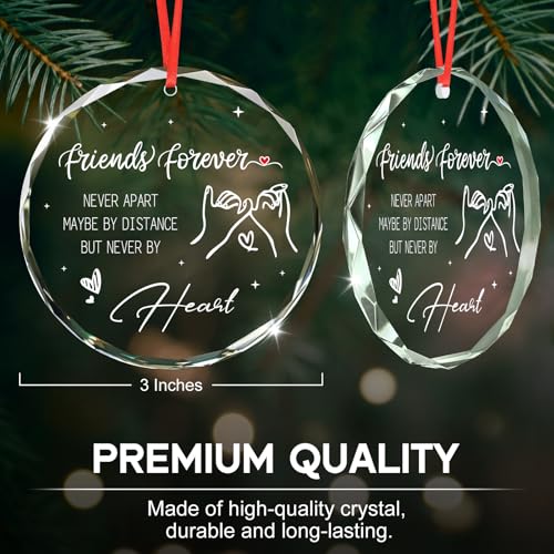 Unique Crystal Friend Christmas Ornament 2025 - 3x3 inches