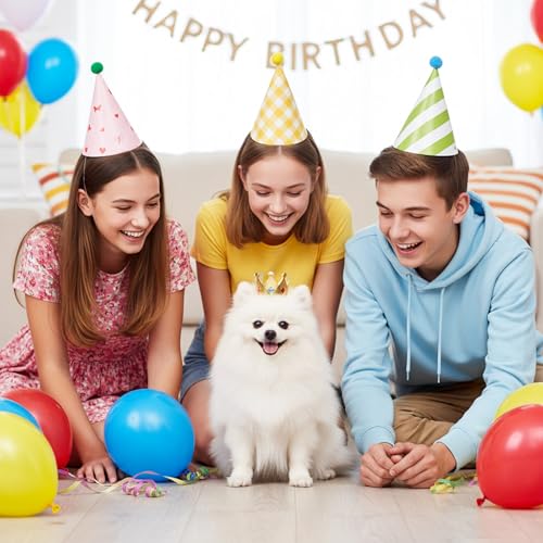 11 Pcs Colorful Cone Party Hats with Pom Poms for Birthdays