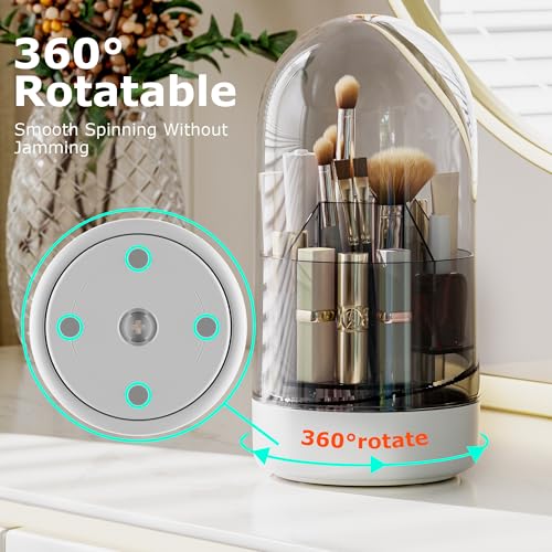 CTIME Makeup Brush Holder with Lid - 5-Compartment Organizer