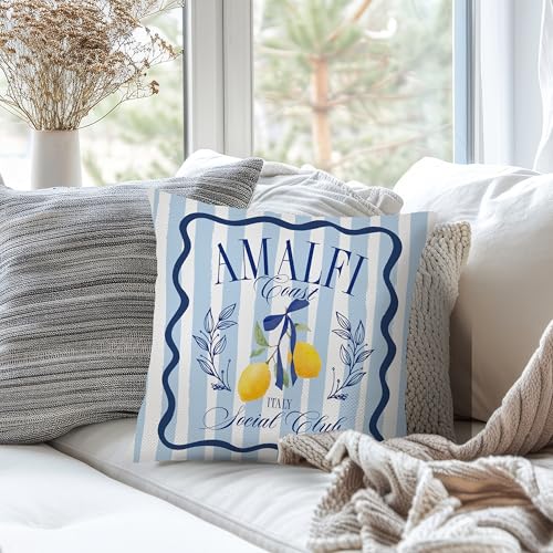 Nipil Blue Coastal Lemon Pillow Cover 18x18 Summer Mediterranean Decor