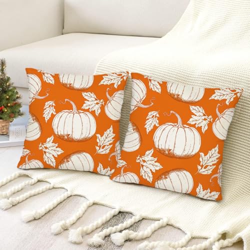 Fall Pumpkin Throw Pillow Covers 20x20 Inch Set of 2 Linen Farmhouse Decor