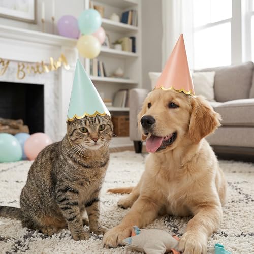 LLOUSSAK 24 Pcs Pastel Birthday Party Hats - Colorful Cone Headwear