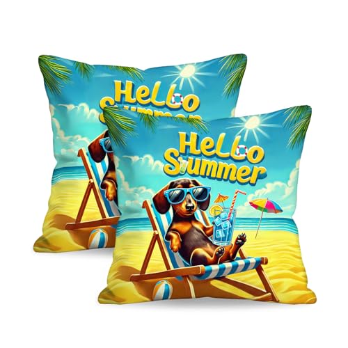 Summer Dachshund Beach Chair Throw Pillow Covers - Set of 2, 18x18