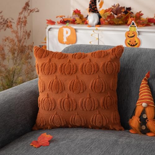 Fall Pillow Covers Set of 2 | 18x18 Rust Pumpkin Plush Cases