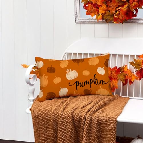RABUSOFA Rust Orange Pumpkin Lumbar Pillow Cover, 12x20 Inch Fall Decor