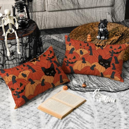 AVOIN colorlife Halloween Pumpkin Black Cat Throw Pillow Covers, 12x20, Set of 2