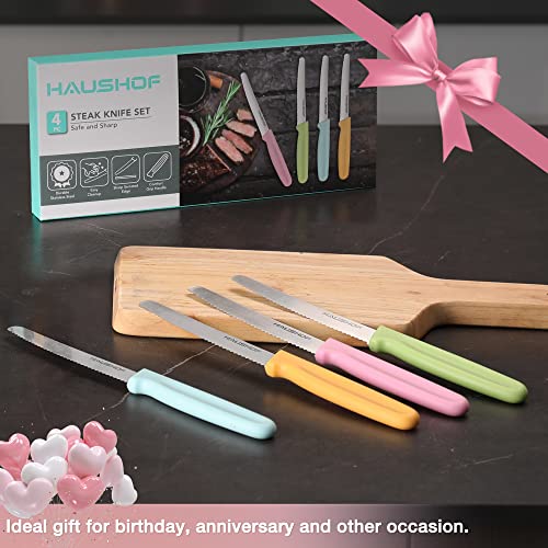 Multicolor HAUSHOF 4-Piece Serrated Steak Knife Set - Premium Stainless Steel with Gift Box