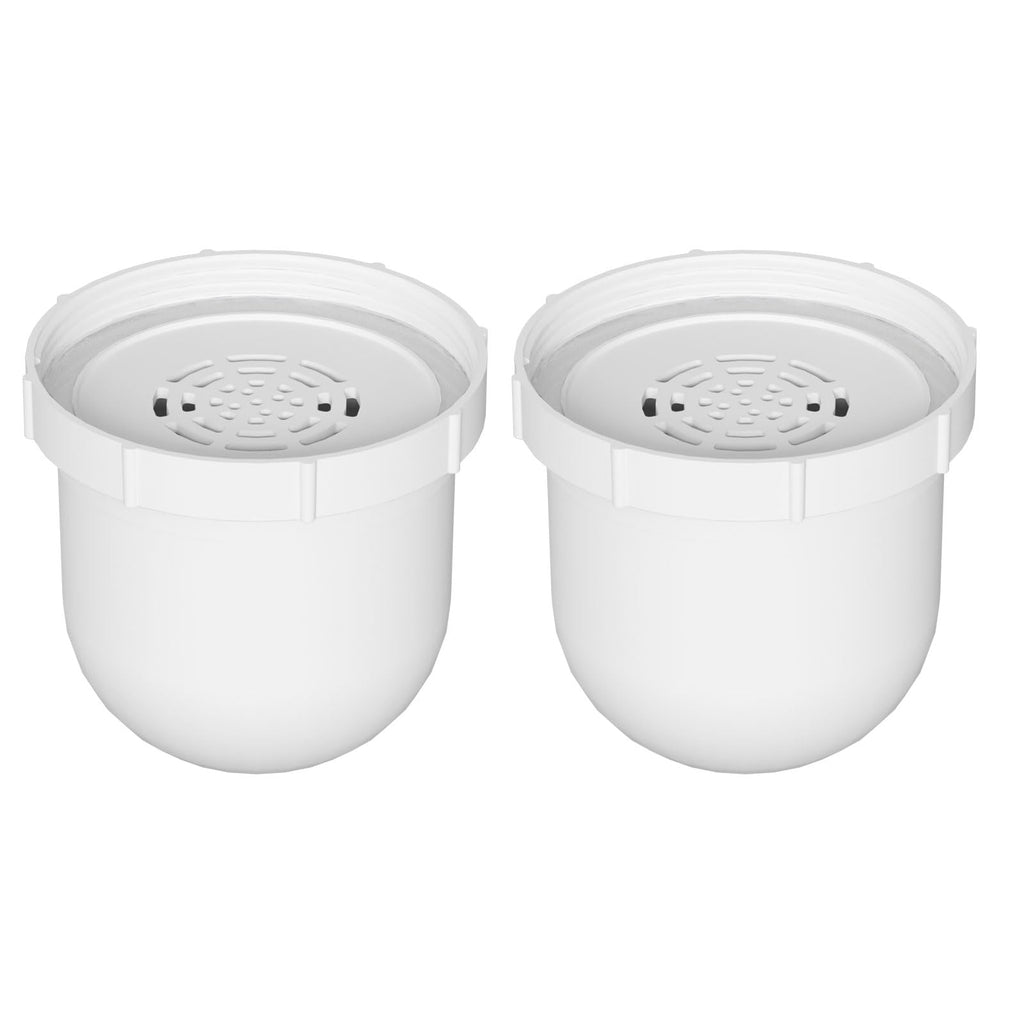 Water Pitcher Replacement Filter Compatible with Clearly Filtered Water Filter Pitcher, 100-Gallon Long-Life, BPA Free 2 Pack