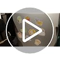 16-Piece Emotional Support Animal Fridge Magnets Set with Uplifting Messages
