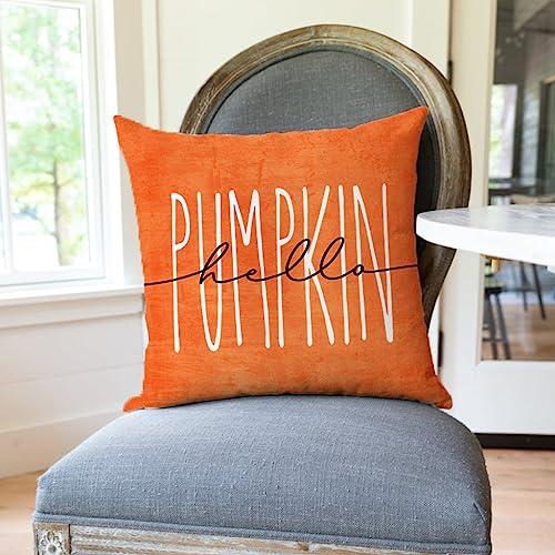 Orange Pumpkin Fall Throw Pillow Covers Set of 2 18x18 - PANDICORN Farmhouse Decor