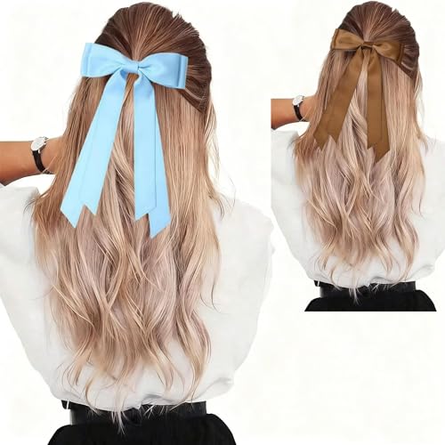 Satin Hair Bows Clips for Women and Girls, Blue and Brown Hair Ribbons, 2PCS