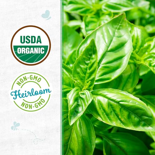Back to the Roots Organic Sweet Basil Seed Packet - Non-GMO