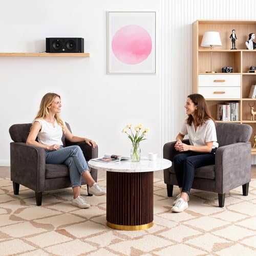 DUMOS Modern Accent Chairs for Living Room, Corner Chairs for Adults, Reading Chair with Armrest and Backrest, Comfy Lounge Chairs for Bedroom Reception Waiting Room, Dark Grey