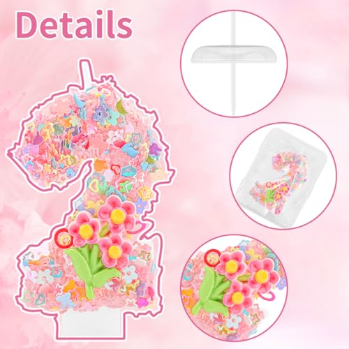 Srotmirw Number 2 Floral Birthday Candle Pink Spring Flower Cake Topper