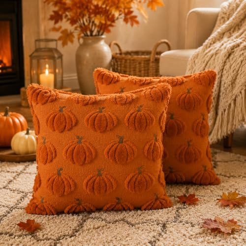 HOSHEN HOME Orange 3D Pumpkin Fall Pillow Covers - 18x18 Set of 2
