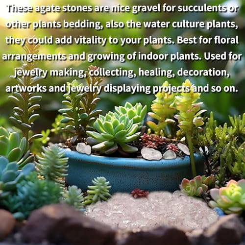 0.45 LB Polished Agate Stones for Home & Outdoor Decor
