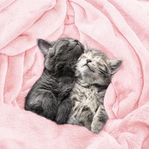 Utopia Bedding Ultra Soft Fleece Blanket Twin Size Pink 60x80