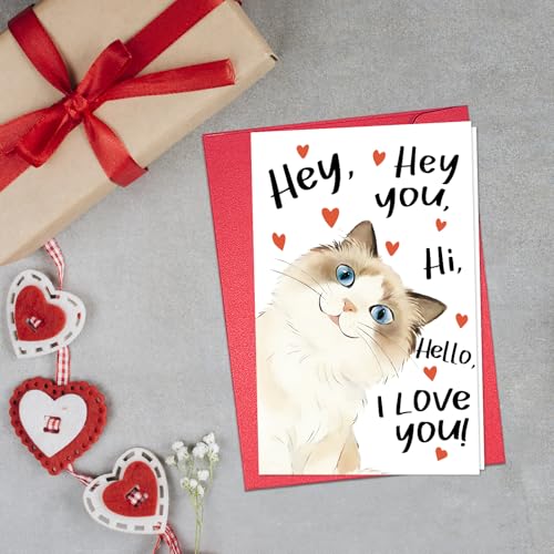 Funny Cat Greeting Card for Mother's Day Birthday Anniversary