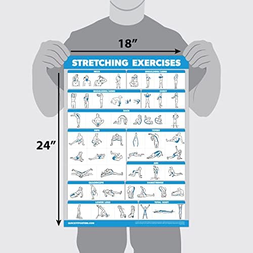 Palace Learning QUICKFIT Stretching Workout Poster - Laminated Stretch Routine (18" x 24")