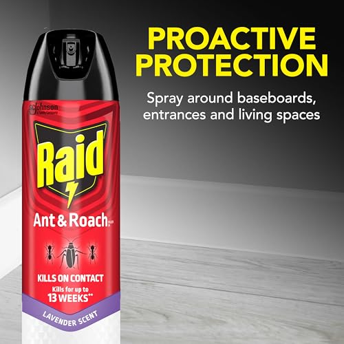 Raid Ant & Roach Killer Spray, Lavender Scent, 17.5 oz (Pack of 2)