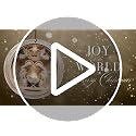 Christian Nativity Scene Angel Christmas Ornament Set - Christian Families Variation