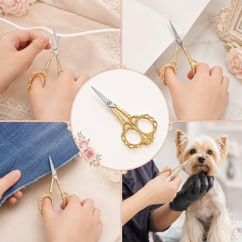 Viliqiou Vintage Stainless Steel Cuticle & Facial Hair Scissors