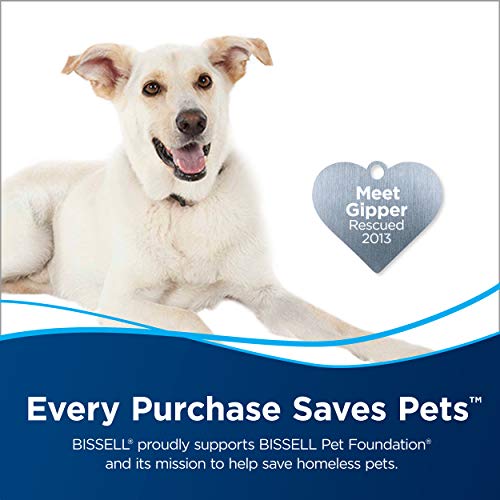 Bissell Wood Floor Cleaning Formula, 32 oz (Pack of 2) - Lemon Scent