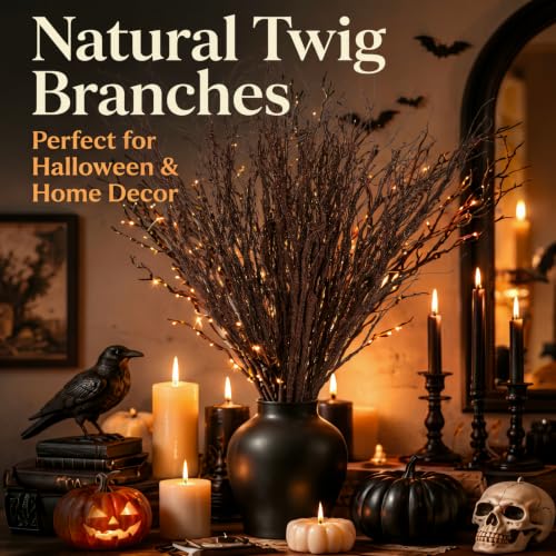 20 Pieces Fall Curly Willow Branches for Vases Halloween Decor - 35.4"