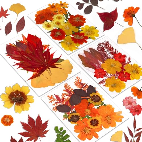 Fall Dried Pressed Flowers and Leaves for DIY Crafts - 72 Pieces