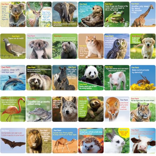 90 Pack Lunch Box Notes for Kids - Animal Jokes, Fun Facts & Encouragement