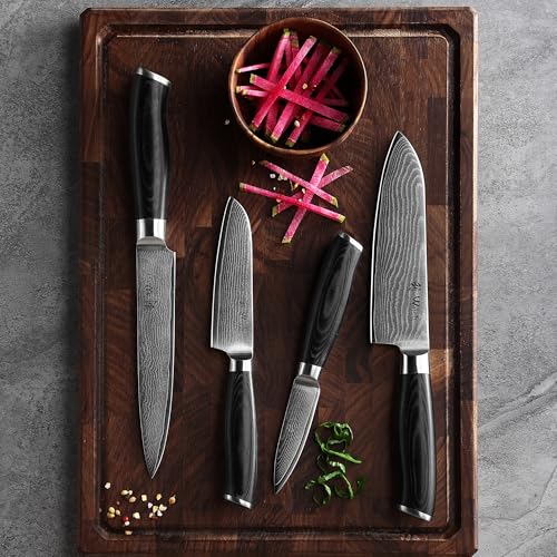 Damascus Kitchen Knife Set 4-Piece VG10 Steel Micarta Handles - MIK Variation
