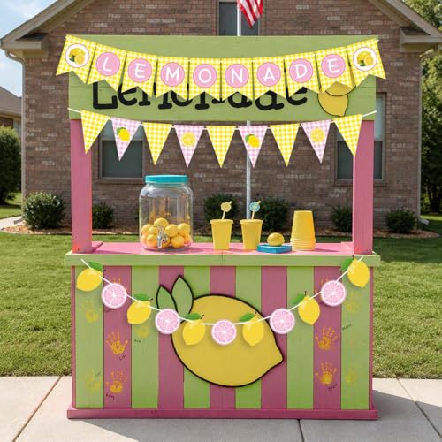 3PCS Pink Lemonade Banner Set – Summer Party Decorations