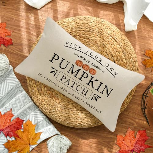Autumn Pumpkin Patch Throw Pillow Cover - Farmhouse Style 12x20