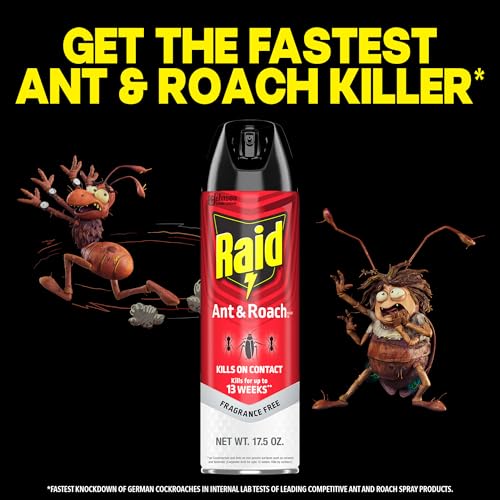 Raid Ant & Roach Killer 26, Fragrance-Free Insect Spray, 17.5 Oz (2 Pack)