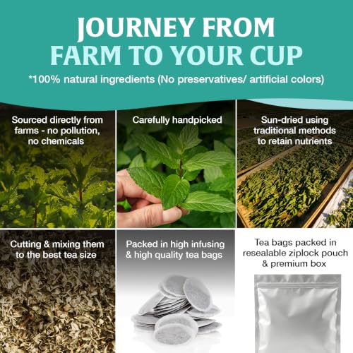 Spearmint Tea Bags - 40 Count | Refreshing Non-GMO Herbal Tea