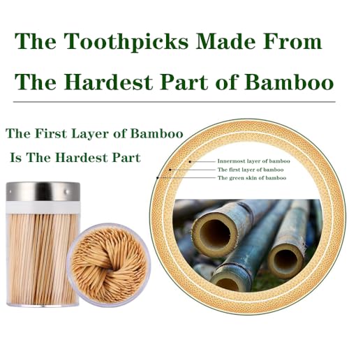 3000 Count Bamboo Toothpicks with 4 Reusable Holders - Sturdy & Eco-Friendly