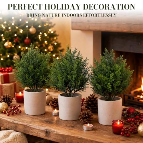 8 Pack Christmas Small Artificial Cedar Bush Tree - White Variation