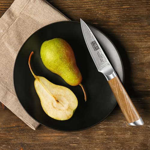HOSHANHO Damascus Paring Knife 3.75 Inch Sharp Japanese HC Steel Fruit Knife - Unique Damascus Pattern