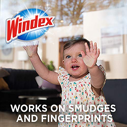 Windex Ammonia-Free Glass Cleaning Wipes, 25 Count Pack of 2
