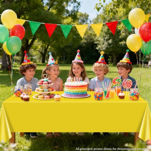 2 Pack Check Tablecloths for Story Birthday Parties, 87 x 51 inch