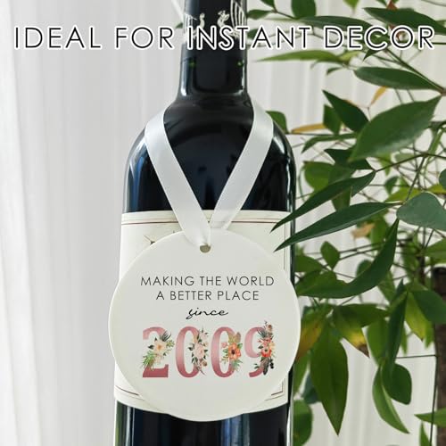 17th Birthday Ceramic Ornament Keepsake for Girls Born in 2009