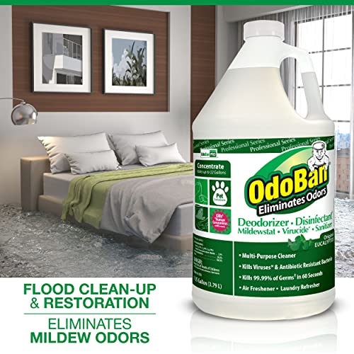 OdoBan Professional Disinfectant & Odor Eliminator Concentrate 6-Pack Eucalyptus 128 Fl Oz