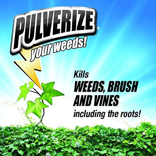 Regine Switzerland Weed Brush & Vine Killer - Fast Acting, Non-Staining Herbicide, 32 oz.