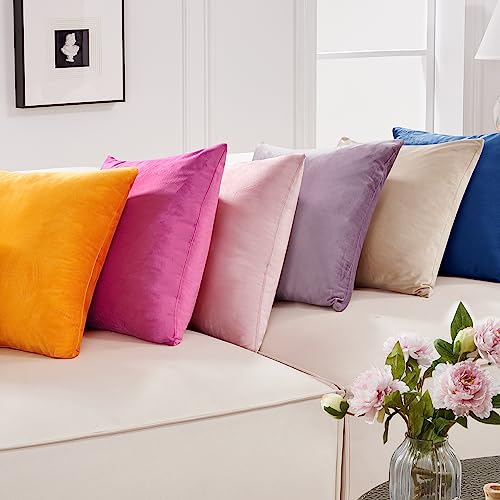 Deconovo Navy Blue Velvet Throw Pillow Covers | 24x24 Inch, 2 Pack