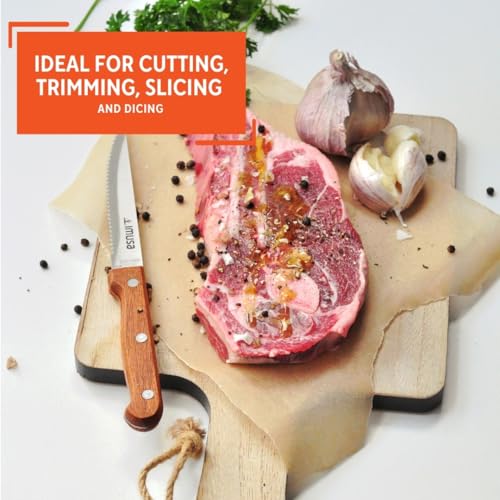 IMUSA 4-Piece Stainless Steel Steak Knife Set with Wood Handles