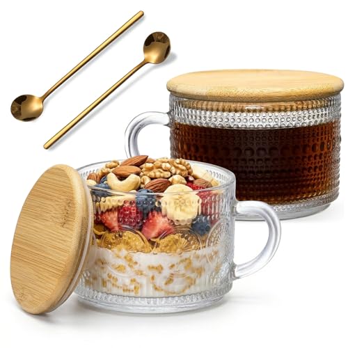 DOPUDO Vintage Glass Coffee Mugs with Bamboo Lids - 14oz (Set of 2)