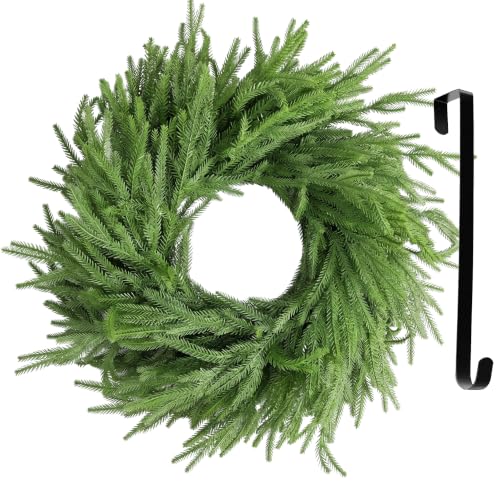 24 Inch Real Touch Norfolk Pine Wreath with Grape Vine Base and Hanger