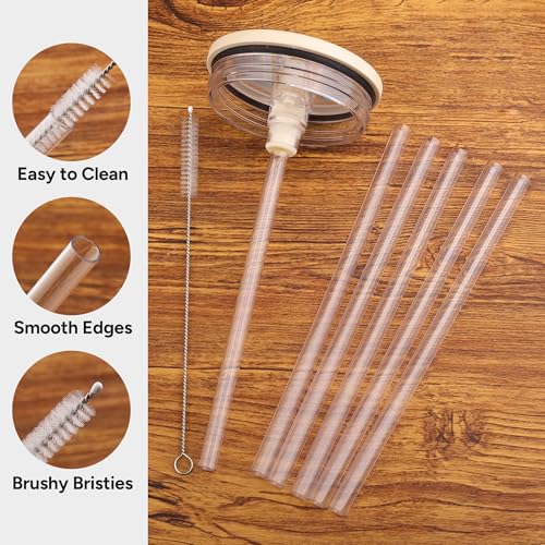 Sipcupmate Replacement Straws for Hydrojug Traveler 40oz, 6-Pack with Brush