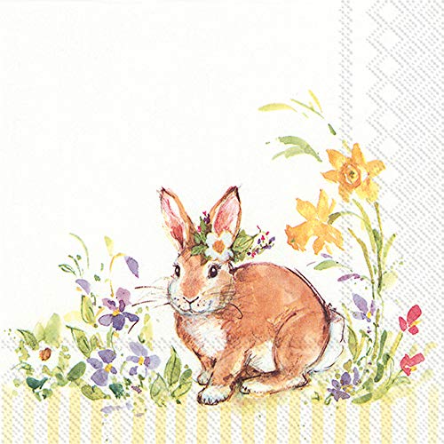 IHR Ideal Home Range Bunny Easter 3-Ply Cocktail Paper Napkins, 20-Count